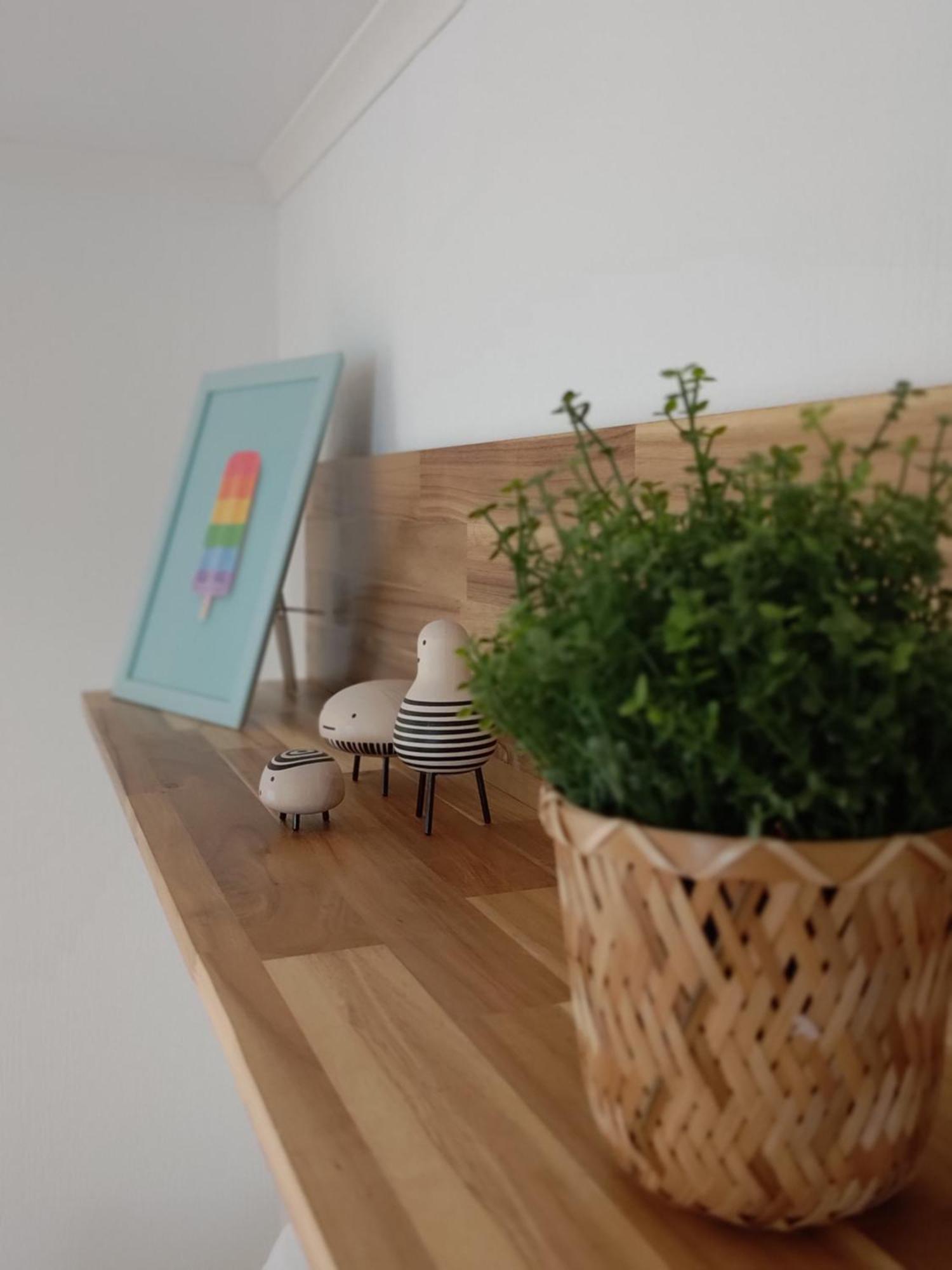 Appartementen Dorp & Duin Egmond aan Zee Luaran gambar